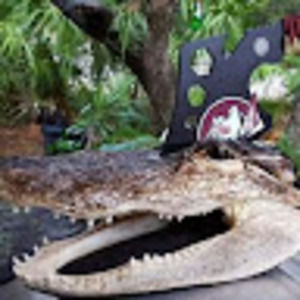 Meet your Posher, William